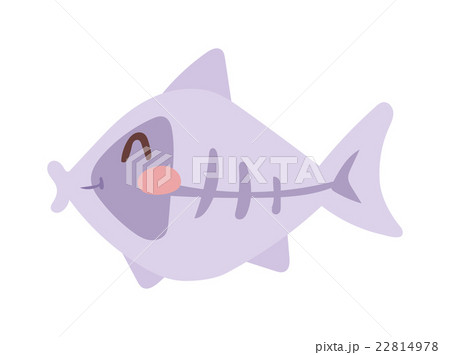 Fish vector illustration. 22814978
