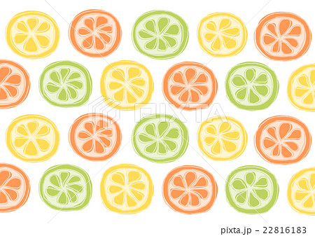 柑橘類 イラスト 背景 白バックのイラスト素材