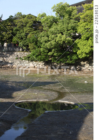 世界遺産 宮島厳島神社 鏡の池 22818013