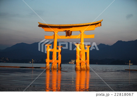 世界遺産 宮島厳島神社 ライトアップの写真素材