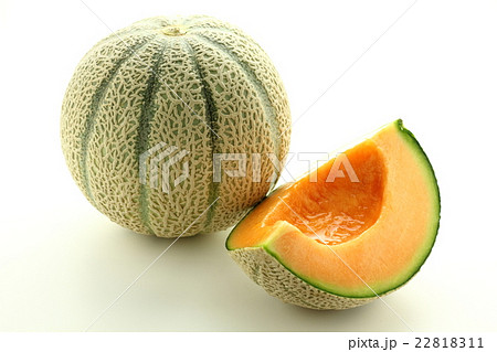 メロン　マルセイユ 22818311