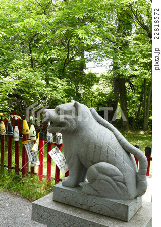 大江神社 狛虎 大江神社 狛虎 22818572