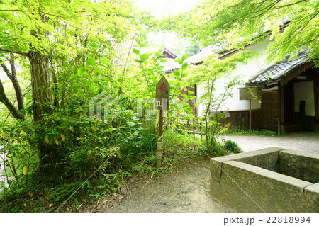 甲賀の里 忍術村 井戸抜け 甲賀の里 忍術村 井戸抜け 22818994