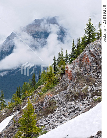 カナディアンロッキー　カナダの大自然 22819259