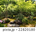 祐徳稲荷神社 22820180
