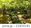 祐徳稲荷神社 22820181