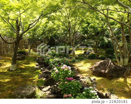 祐徳稲荷神社 22820181