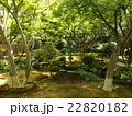 祐徳稲荷神社 22820182