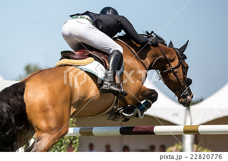 Equestrian Sports, Horse jumping, Show Jumping Equestrian Sports, Horse jumping, Show Jumping 22820776