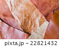 レザー素材の接写 22821432