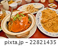 シンガポールの料理 22821435