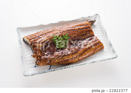 うなぎの蒲焼き 22822377