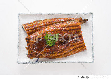 うなぎの蒲焼き 22822378