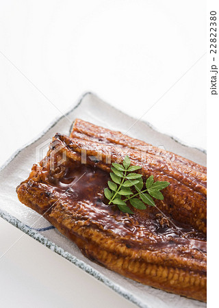 うなぎの蒲焼き 22822380