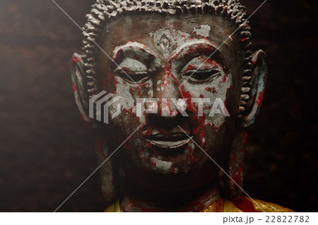 Buddha portrait Buddha portrait 22822782
