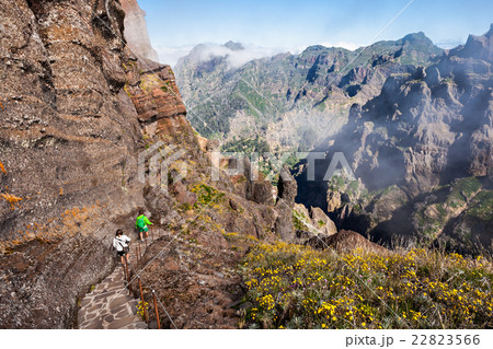 Trekking on Madeira island Trekking on Madeira island 22823566