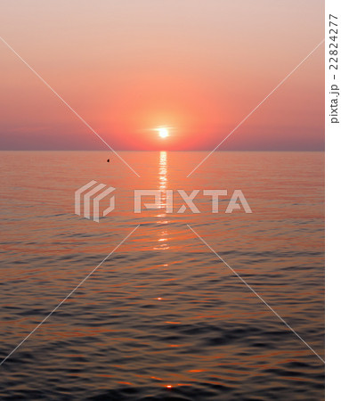 Pink Sea sunrise. 22824277