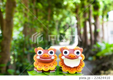 沖縄 備瀬 フクギ並木 シーサー 沖縄 備瀬 フクギ並木 シーサー 22824410