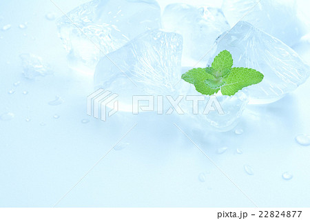 ミントの葉と氷　水色背景 22824877
