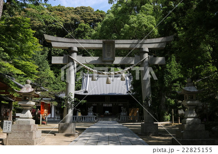 松平郷 松平東照宮 22825155