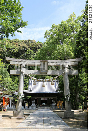 松平郷 松平東照宮 22825156