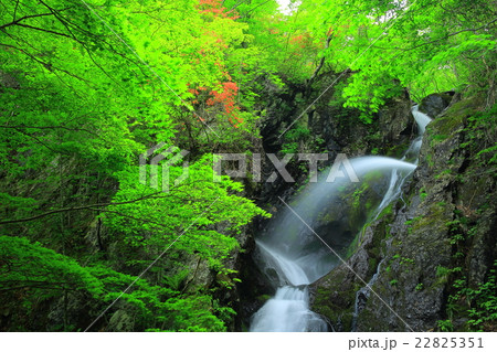 七折の滝 七折の滝 22825351