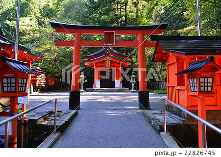 箱根神社鳥居 22826745