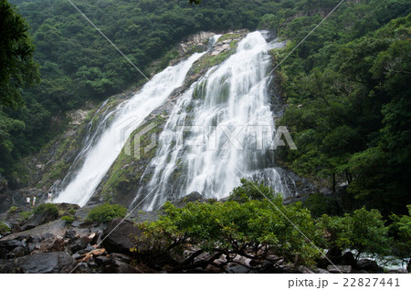 屋久島 屋久島 22827441