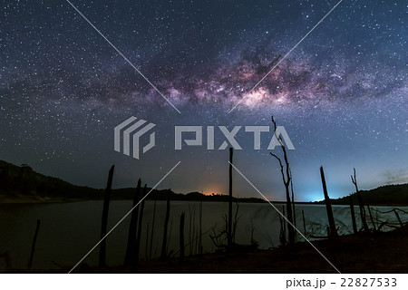 milky way over dead trees 22827533