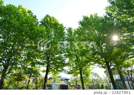 桂台二丁目公園 桂台二丁目公園 22827901