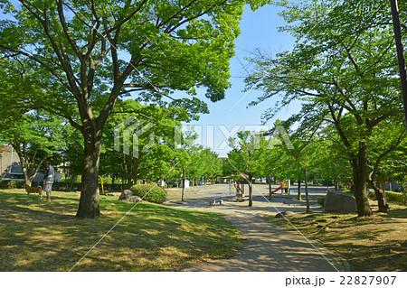 桂台二丁目第三公園 桂台二丁目第三公園 22827907