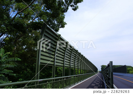 国道17号上尾道路  江川地区開通 2016年 g 22829263