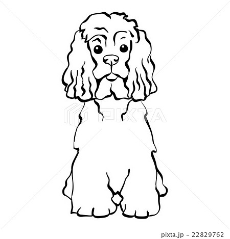 Vector Sketch Funny Dog Sittingのイラスト素材