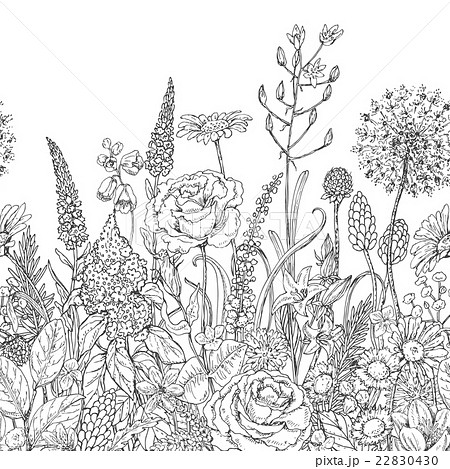 Seamless Line Pattern With Wildflowersのイラスト素材 2430