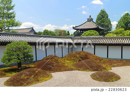 東福寺本坊庭園（方丈南庭） 22830623