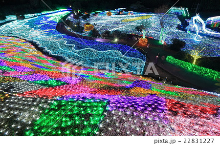 伊豆ぐらんぱる公園 イルミネーション 伊豆ぐらんぱる公園 イルミネーション 22831227