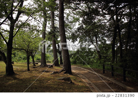 吉崎御坊跡（福井県 あわら市） 22831390