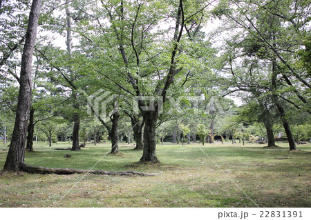 吉崎御坊跡（福井県 あわら市） 22831391