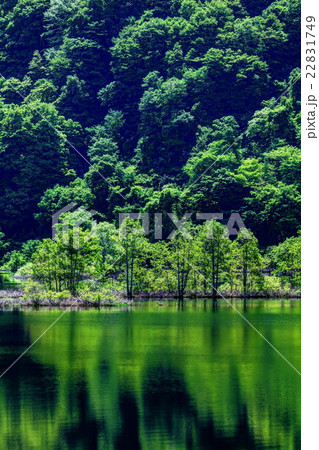 秋元湖 秋元湖 22831749