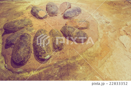 egg fossil dinosaur on rock background. egg fossil dinosaur on rock background. 22833352