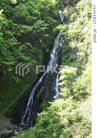 宮ヶ瀬湖の大沢の滝 宮ヶ瀬湖の大沢の滝 22833447