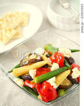 夏野菜の焼きマリネサラダ　　クラッカー添え（ハイアングル） 22833925