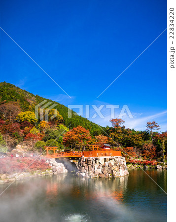 勝尾寺の弁財天と紅葉 22834220
