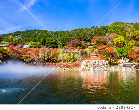 勝尾寺の弁天池と紅葉 22834227