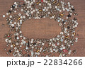 screws on a wooden board 22834266