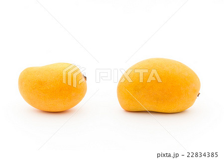 メキシコ産ミニマンゴー(品種:不明): Mini mango メキシコ産ミニマンゴー(品種:不明): Mini mango 22834385