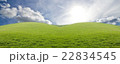 Green meadow in mountain. Composition of nature. 22834545