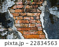 Moldy brick wall background 22834563