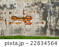 Moldy brick wall background 22834564
