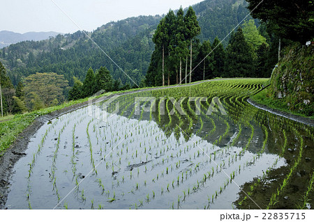 田園風景 田園風景 22835715